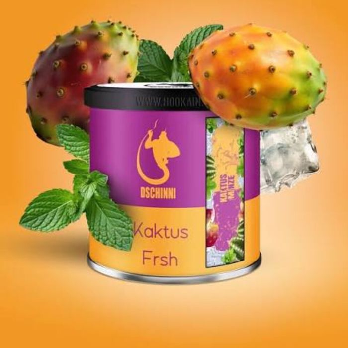 CHS DSCHINNI KAKTUS FRESH