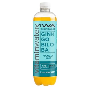 Viwa Ginkgo Biloba - Mango Lime 0,6l