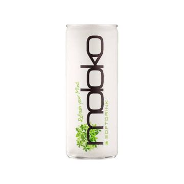 CHS MOLOKO