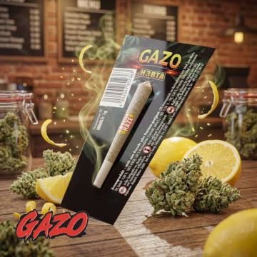 CHS Jumanji Gazo Amnezia Haze
