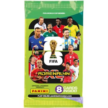 CHS PANINI FIFA KARTEN